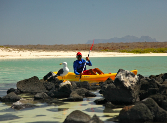  Kayaks en verre 